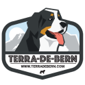 Terra-De-Bern